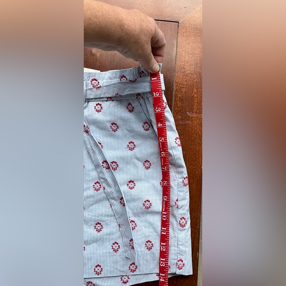 Woman’s dressy lined shorts  w/elastic paper bag waist and self tie - Picture 5 of 8